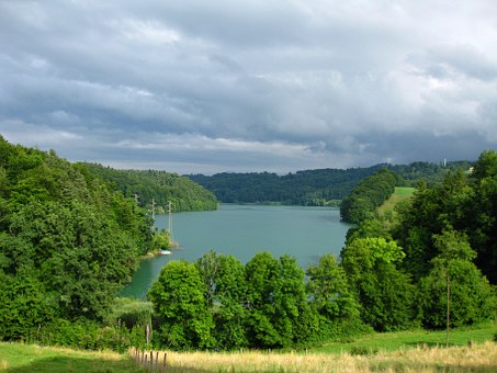 Lake surrounded by a forest