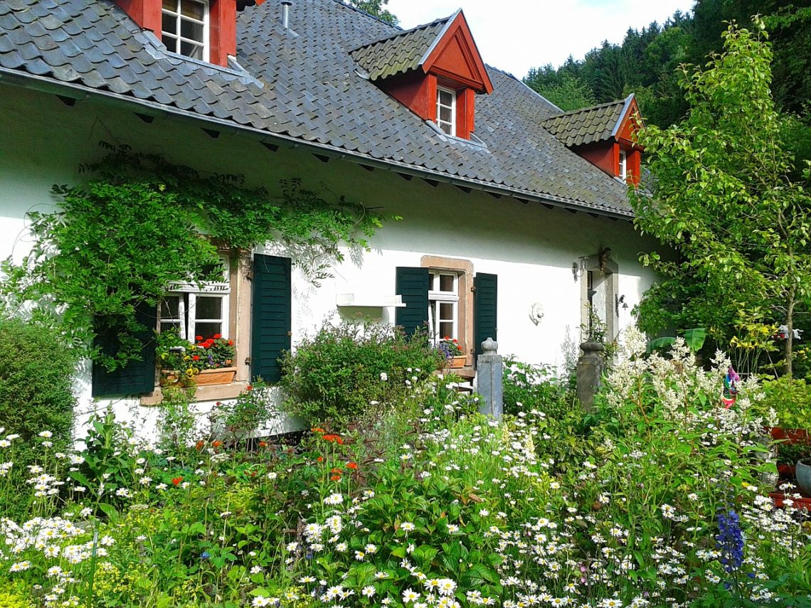 House with a garden